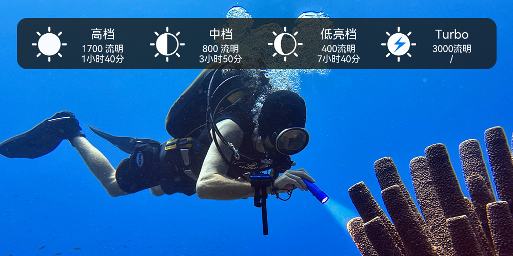 D710潜水手电筒,D710休闲潜水手电筒,D710潜水灯,D710水肺潜水,D710潜水手电,虎鲸OrcaTorch