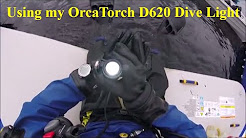 OrcaTorch D620 Canister Dive Light Update
