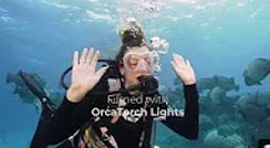 Milln Reef/ OrcaTorch D950V / D910V Underwater Video Light